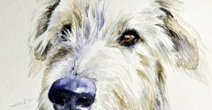 retrato en acuarela de un IrishWolfhound